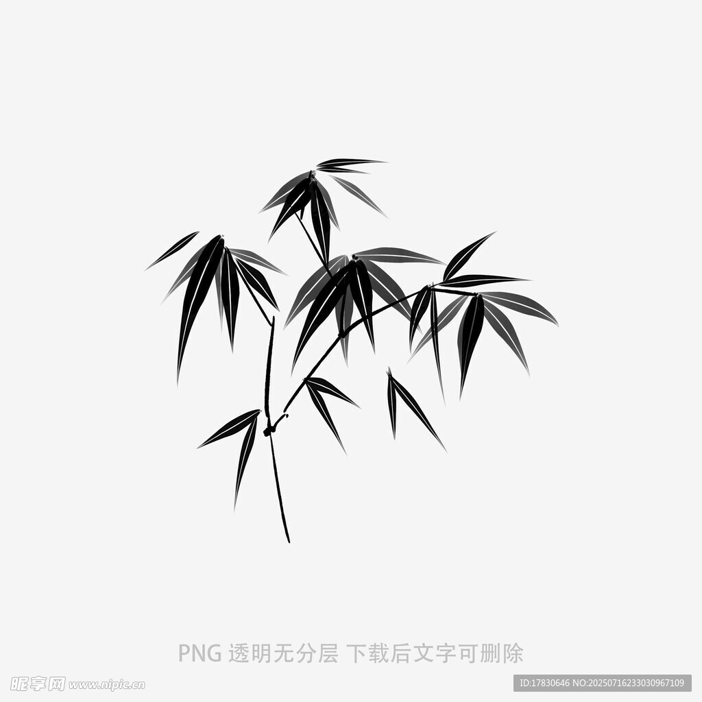 水墨风竹叶插画