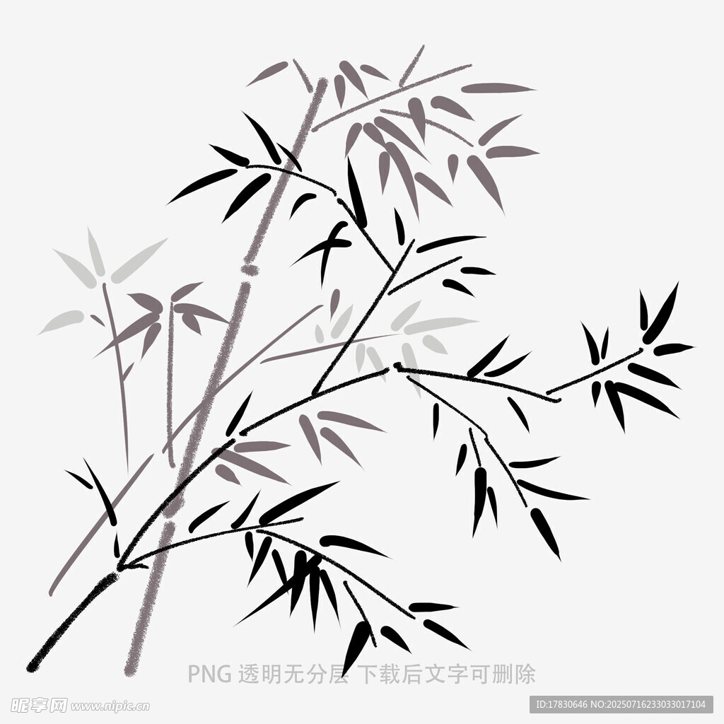 水墨风竹叶插画