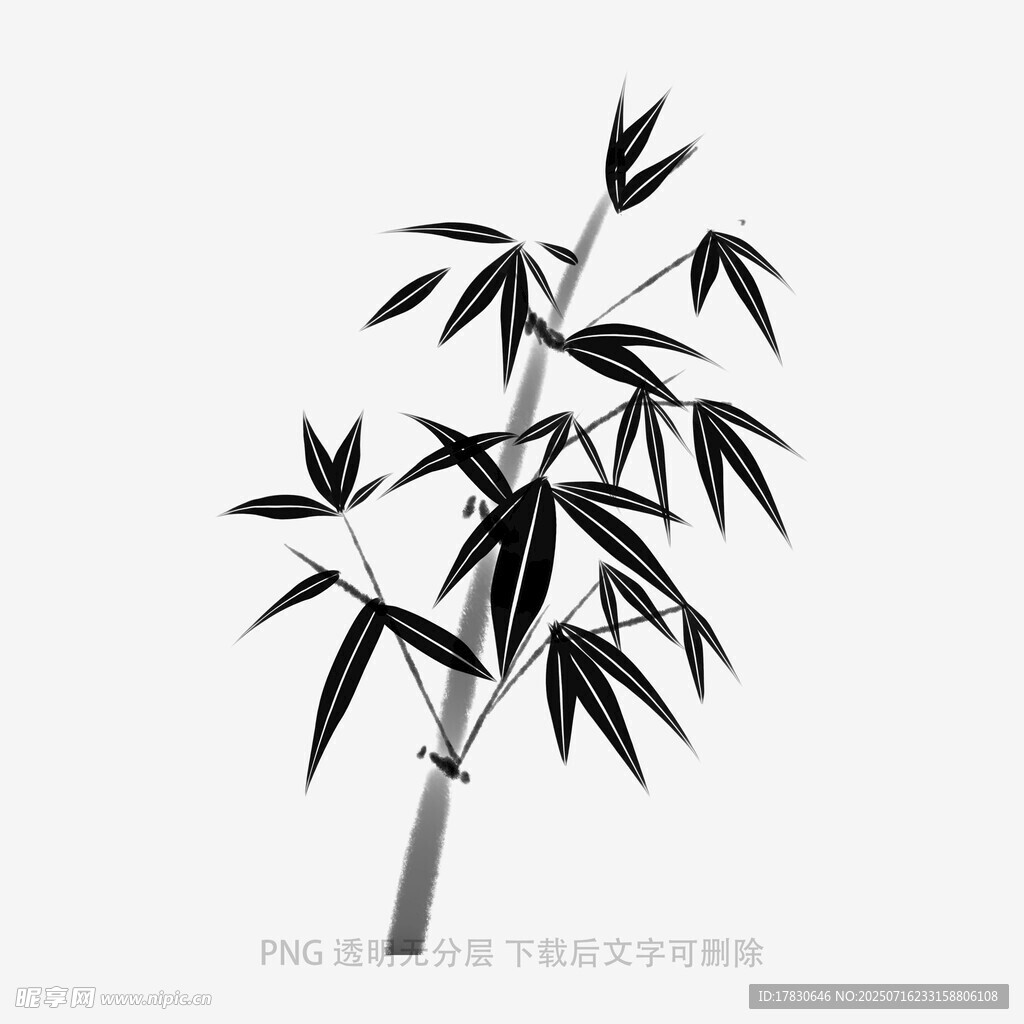 水墨风单株竹子插画