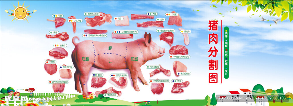 猪肉分割图