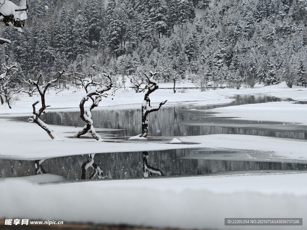 冬日雪覆湖面枯树景致