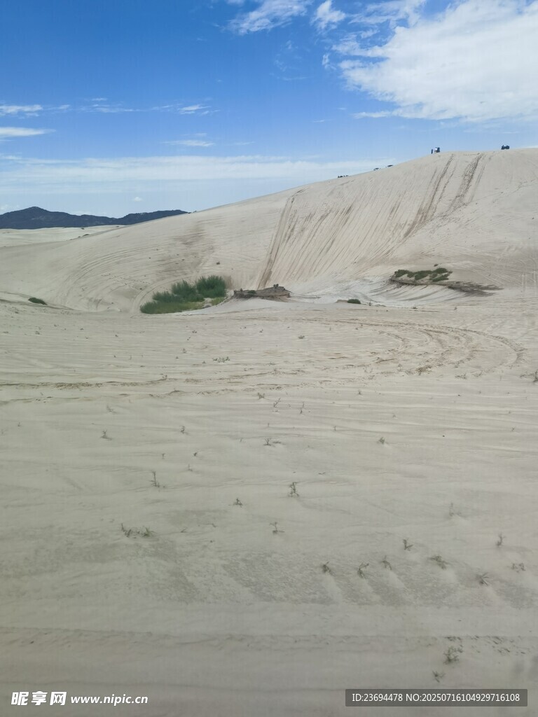 沙漠