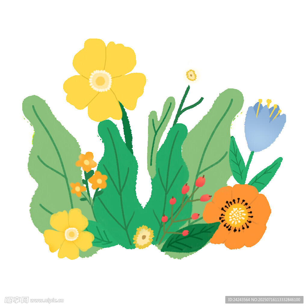 插画花卉植物