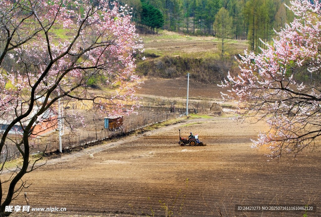 春日乡村美景