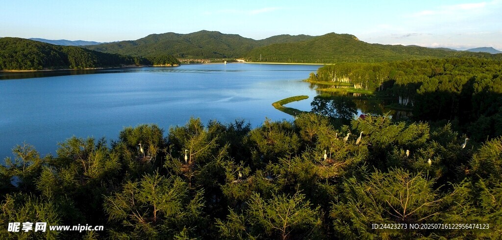 湖畔葱郁山林美景