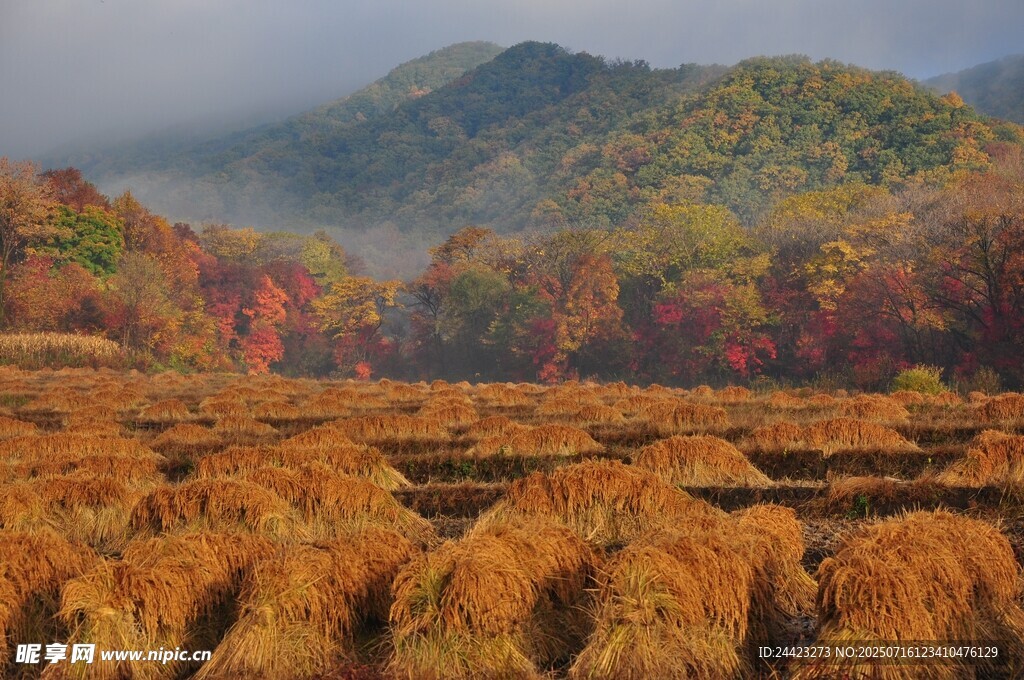 秋日田野与远山美景