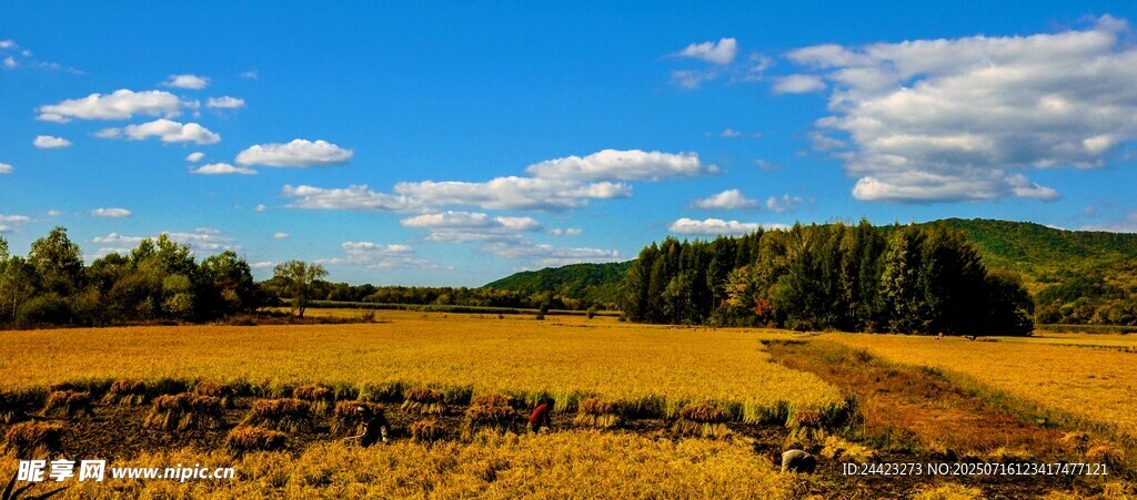 秋日旷野美景