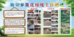 新安乡美化绿化工作掠影