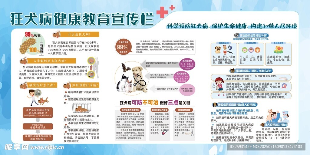 狂犬病的预防和治疗宣传栏