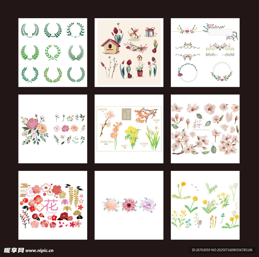 花卉