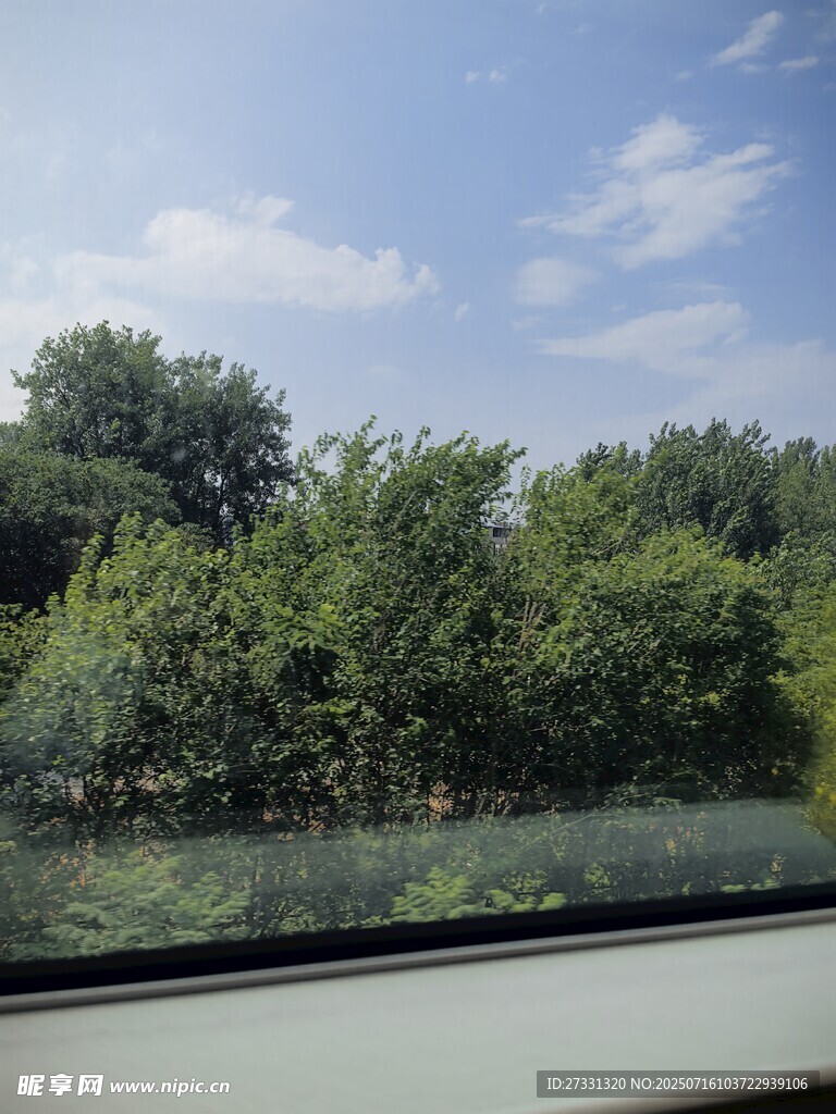 车窗外的绿意盎然