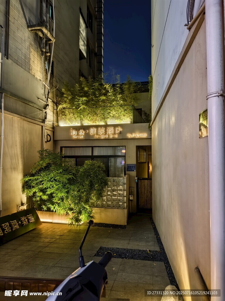 静谧小巷夜景绿植相伴