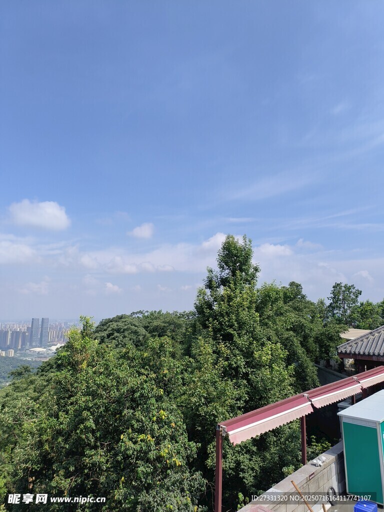 屋顶视角下的绿树蓝天