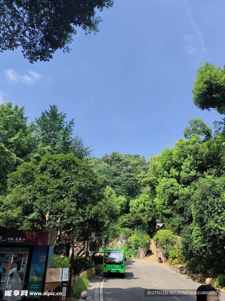 林间小道绿意盎然的景致