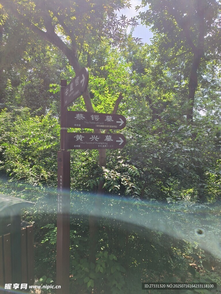森林中的指示路标