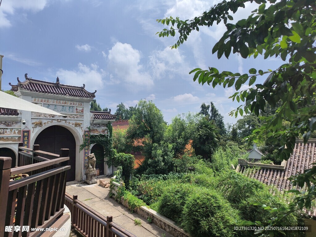 古村景致绿树环绕的建筑