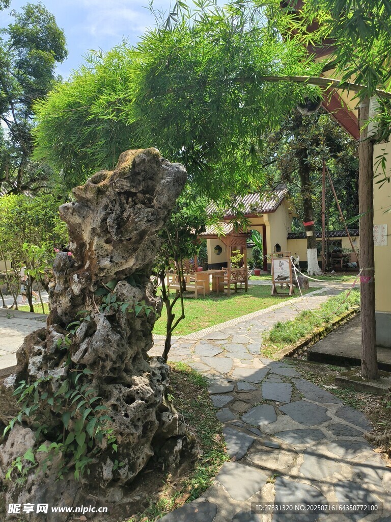 园林景观中的奇特树桩