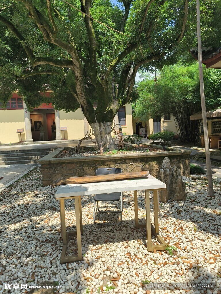 古树下的静谧庭院桌椅