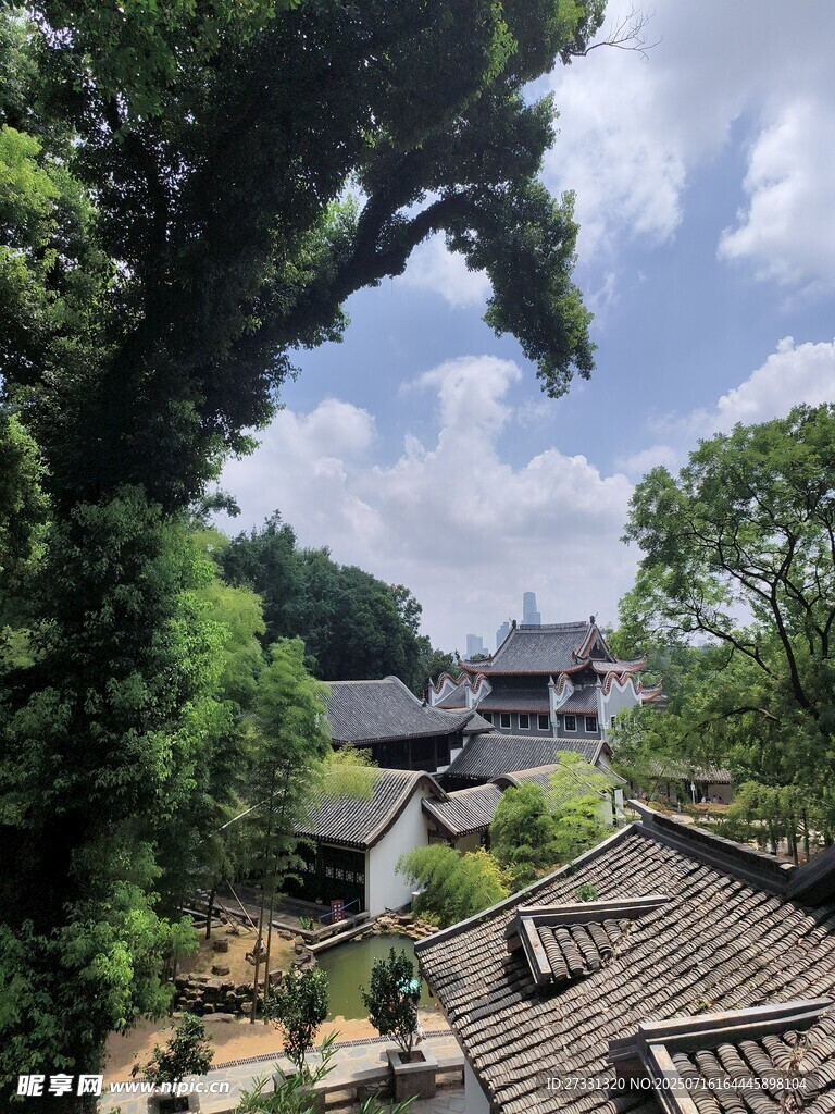 古村落景致绿树环绕民居