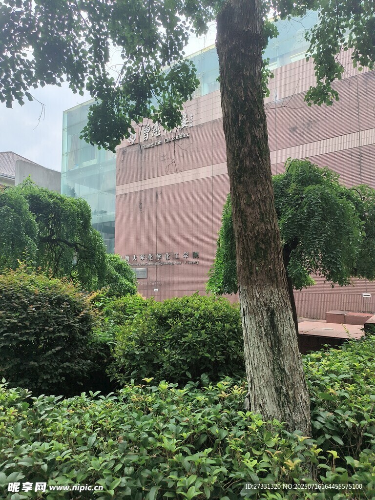 校园绿植景观