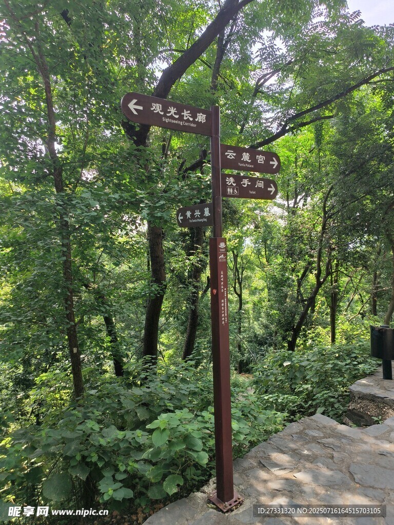 林间指路牌指引前行方向