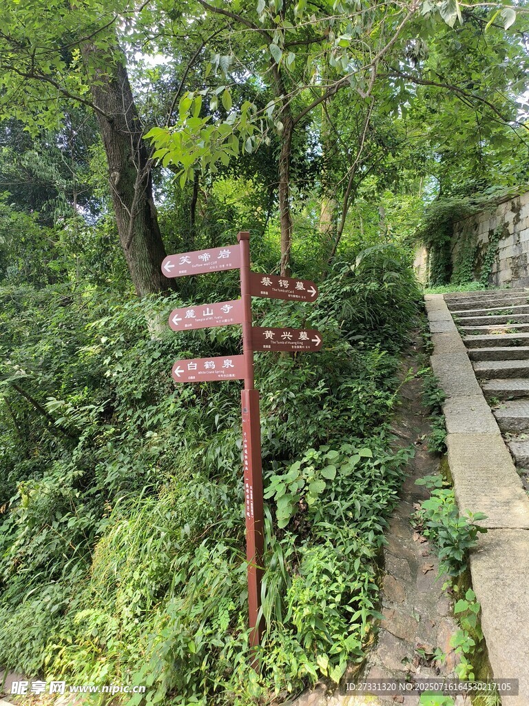 山林中的指示路标