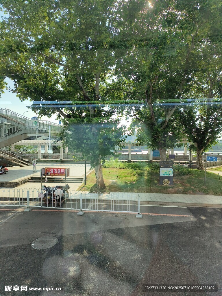 车窗外的绿树风景