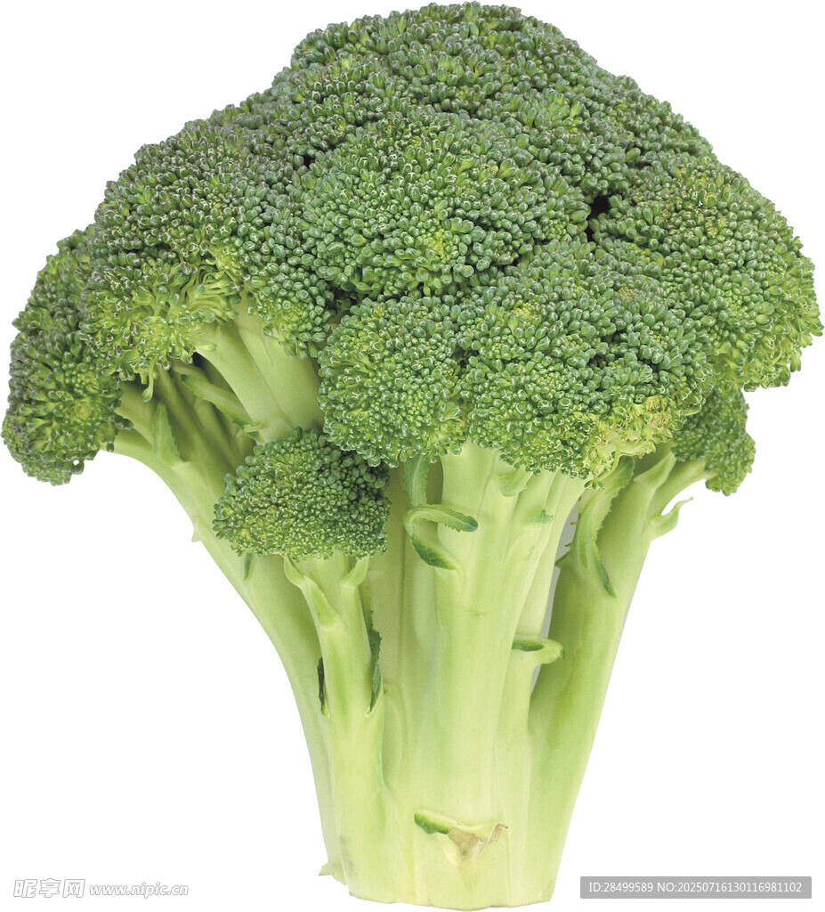 新鲜西兰花