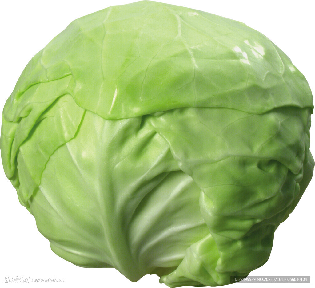 大头菜