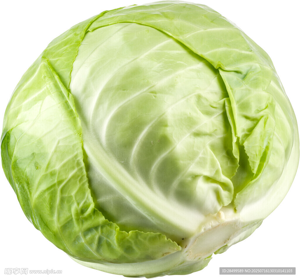大头菜