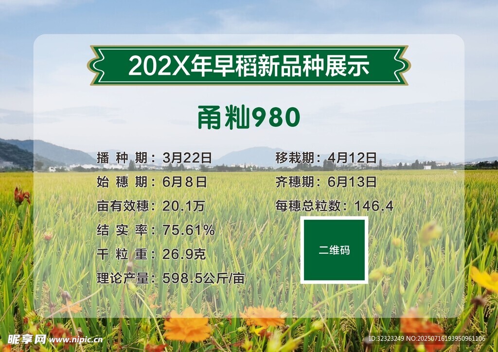 水稻早稻品种展示