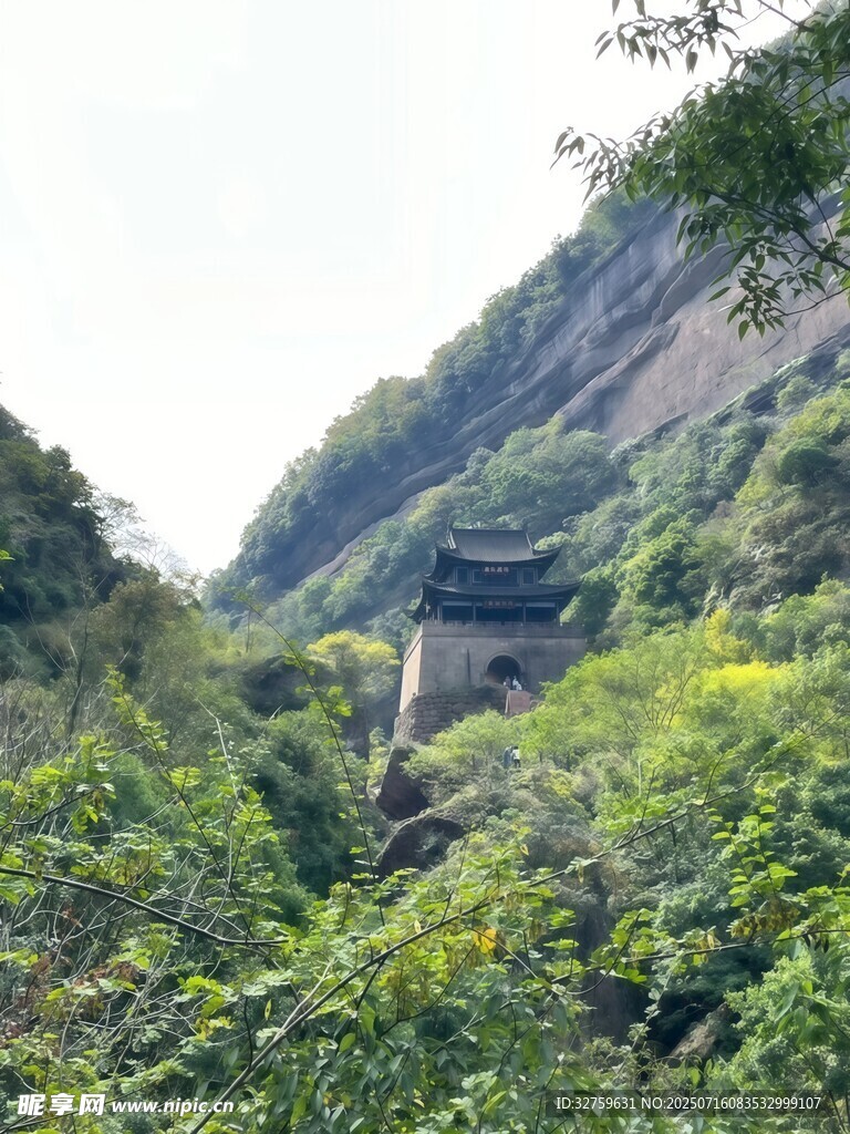 山间绿意盎然的自然景致