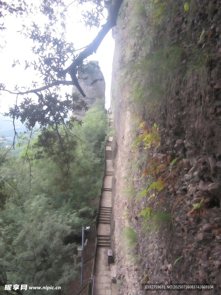 山间小径的自然景致
