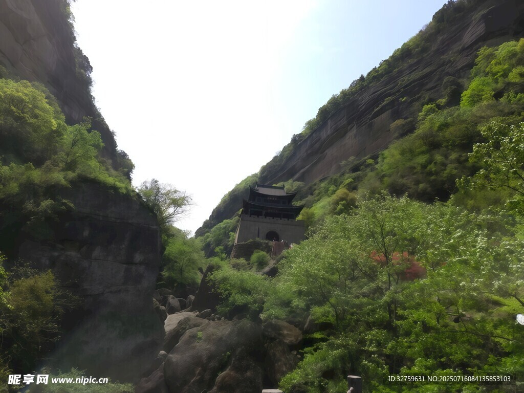 山间绿意盎然的峡谷景色