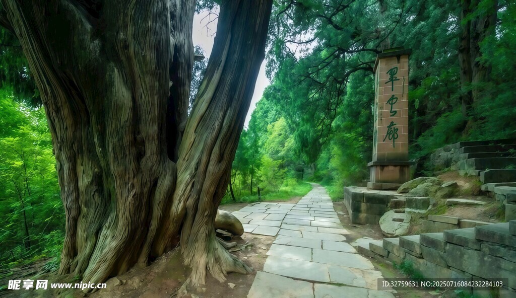 山林间的古朴小径