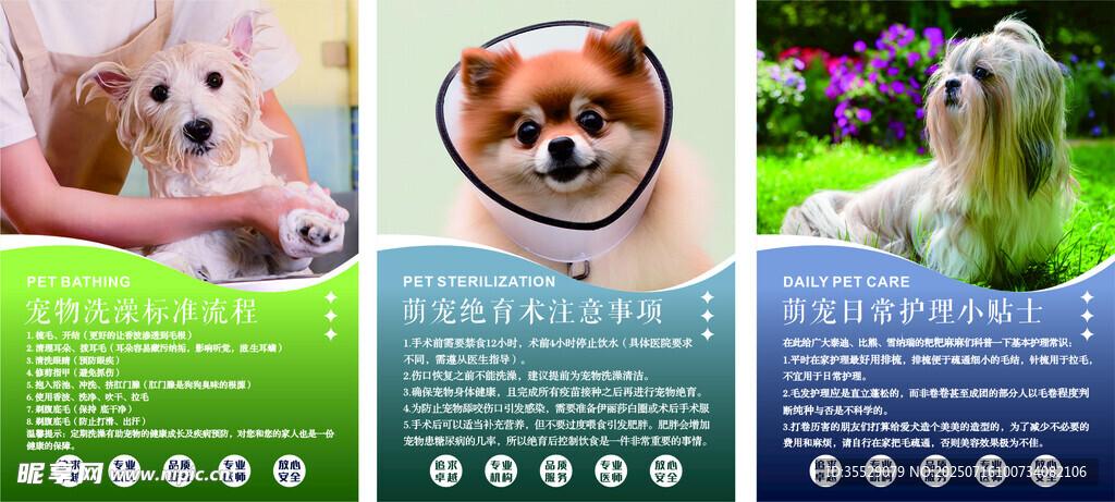 宠物店海报