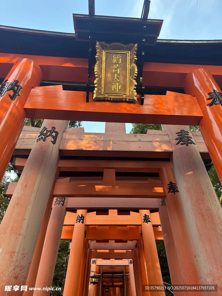 伏见稻荷大社鸟居景观