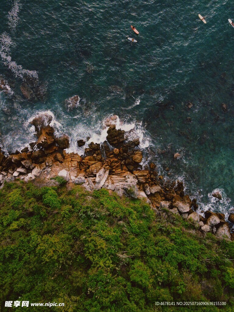 俯瞰海岸边的绿植与海浪