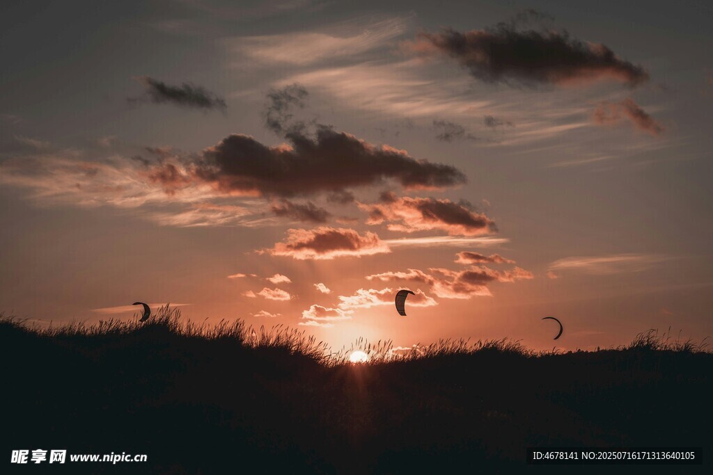 夕阳下飞鸟剪影美景