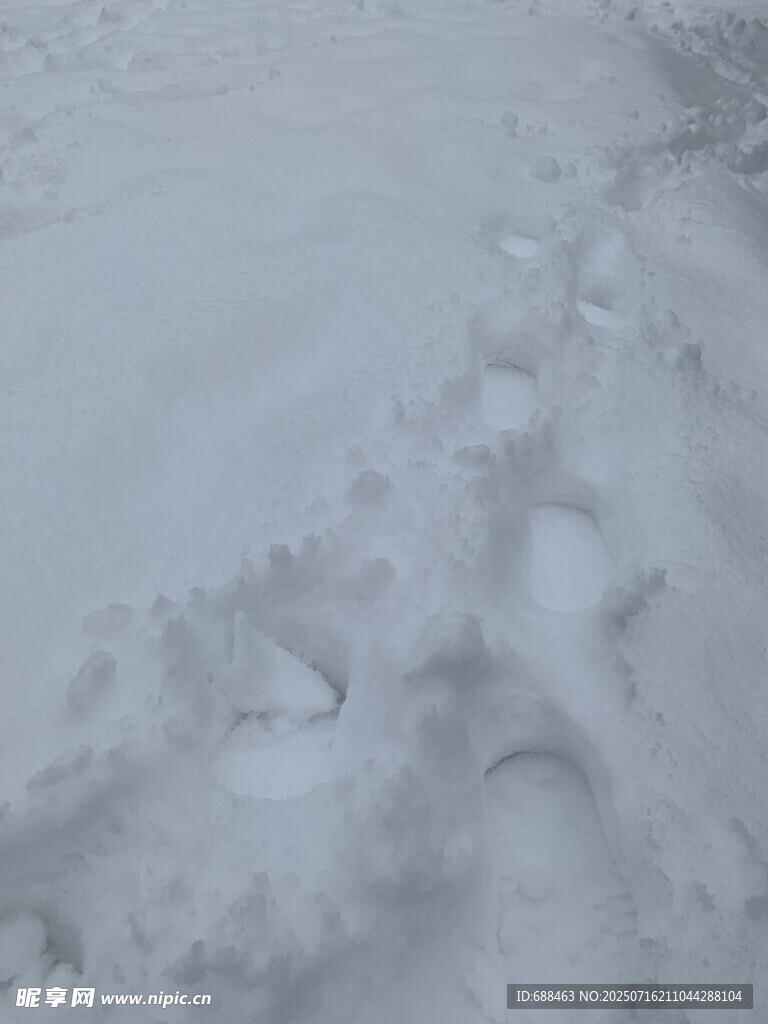 雪地上的串串脚印
