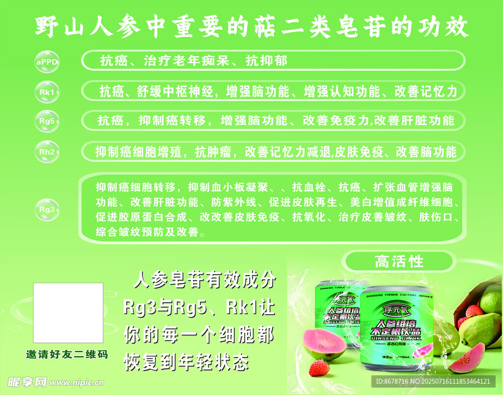 人参皂的功效