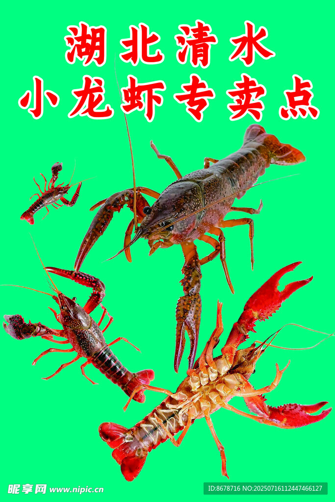 小龙虾产品