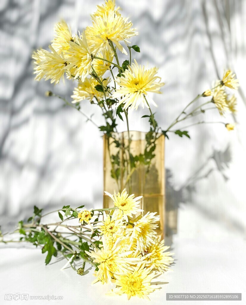 花瓶中的黄色清新小雏菊