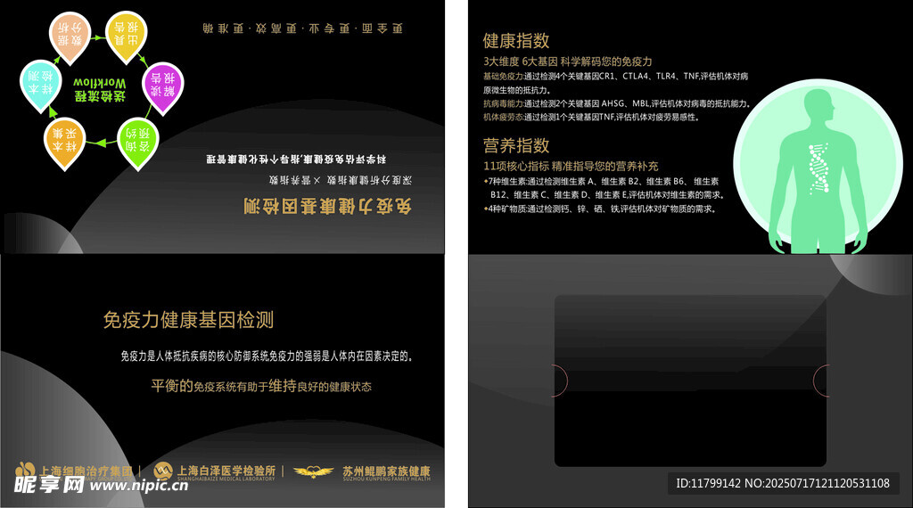 科技风网页界面设计展示