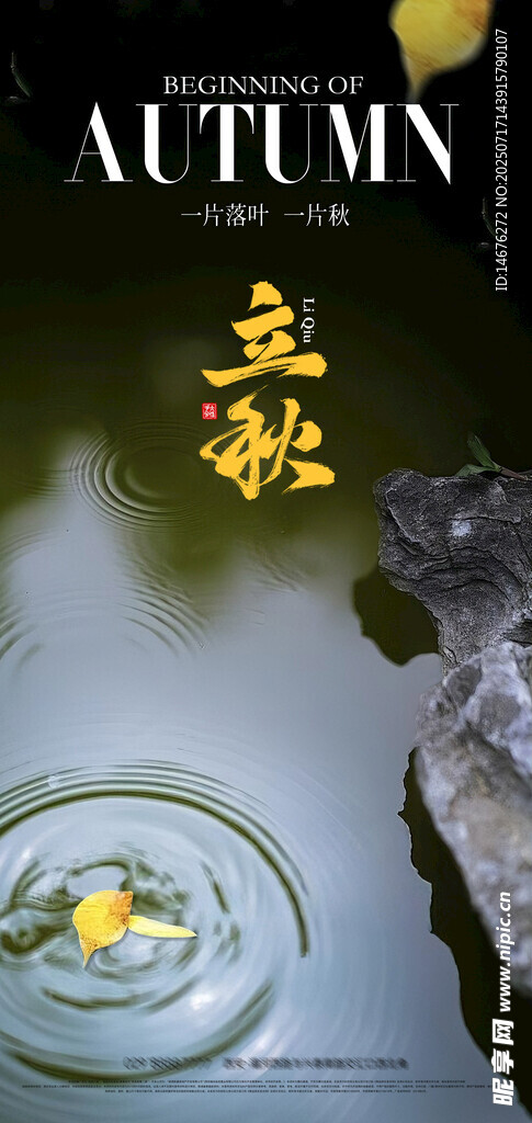 二十四节气 立秋海报