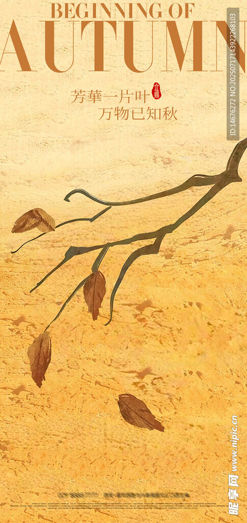 二十四节气 立秋海报