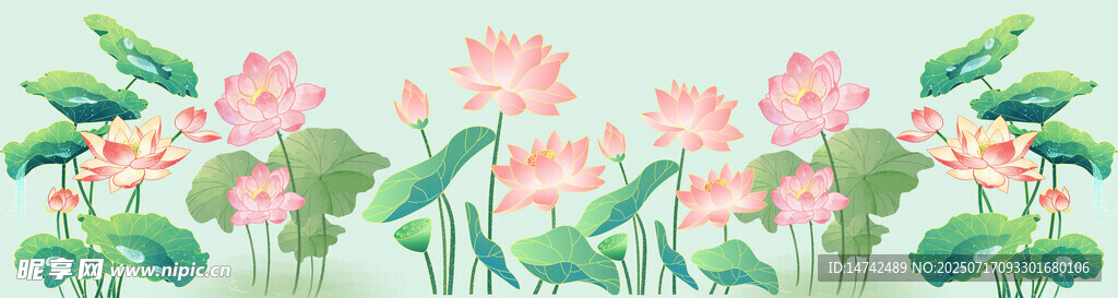 免扣荷花