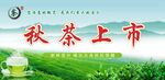 茶叶海报