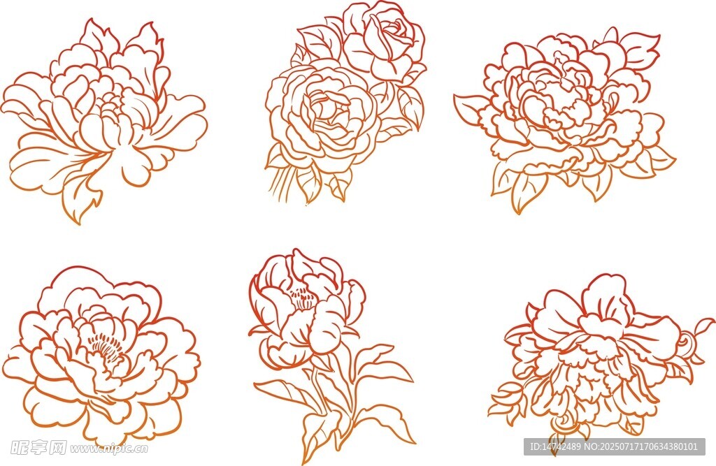红色矢量牡丹花