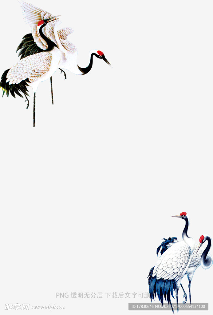 丹顶鹤群舞图